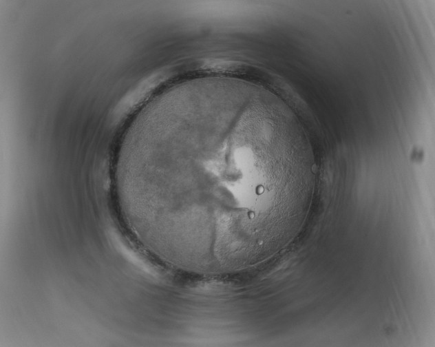 X0000111150734200906301337