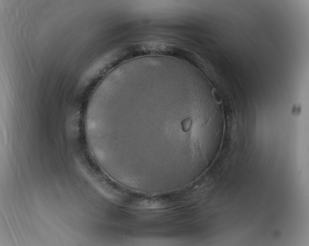 X0000111150735200906301337