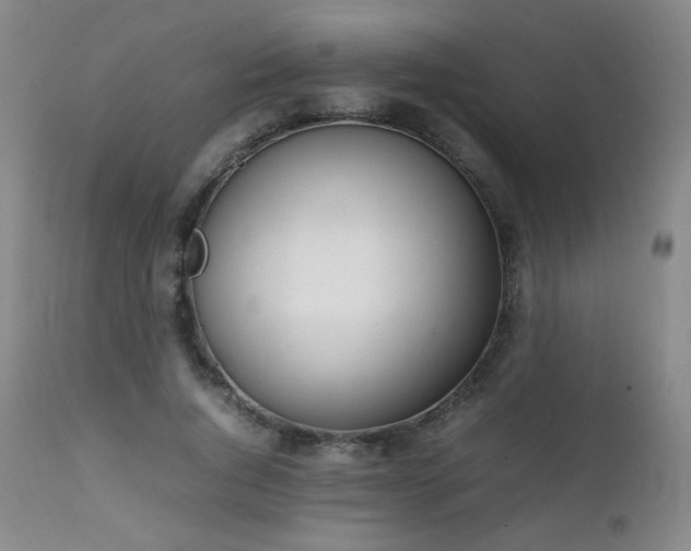 X0000111150736200906301337