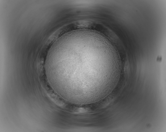 X0000111150737200906301337