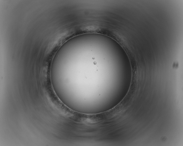 X0000111150739200906301337