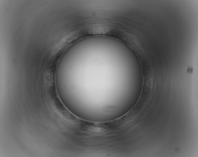 X0000111150743200906301337