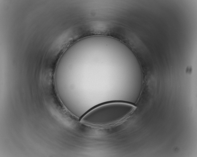 X0000111150744200906301337