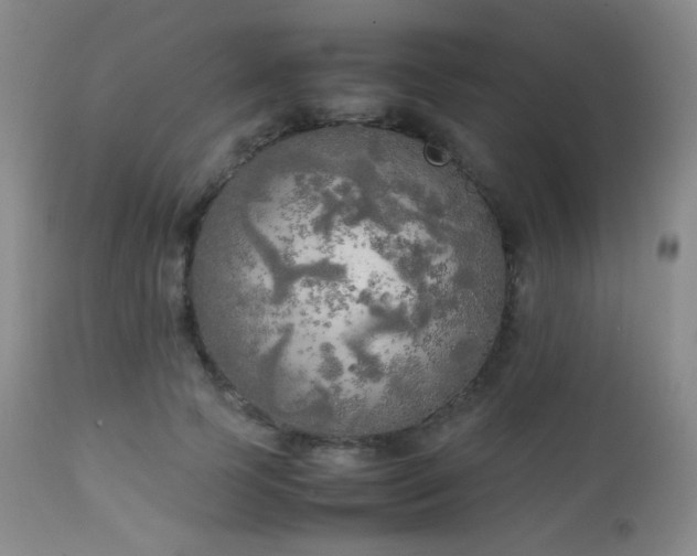 X0000111150745200906301337