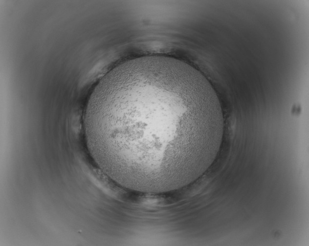 X0000111150746200906301337