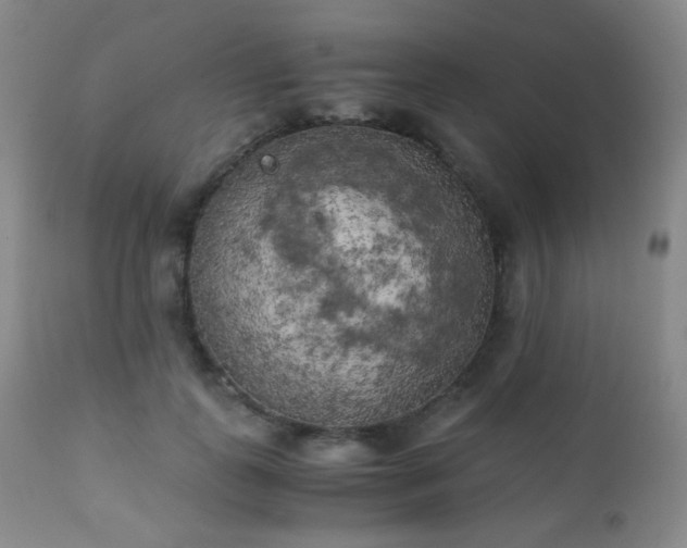 X0000111150747200906301337