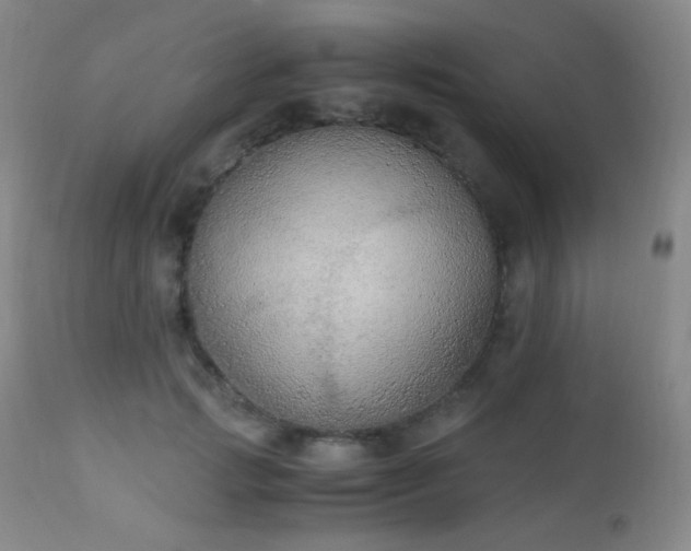 X0000111150749200906301337