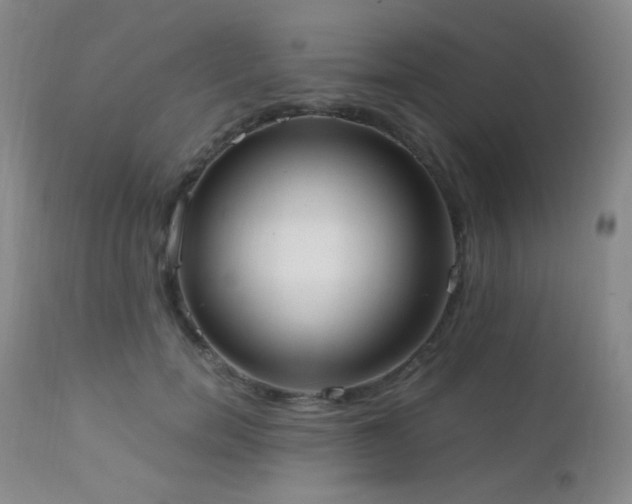 X0000111150750200906301337