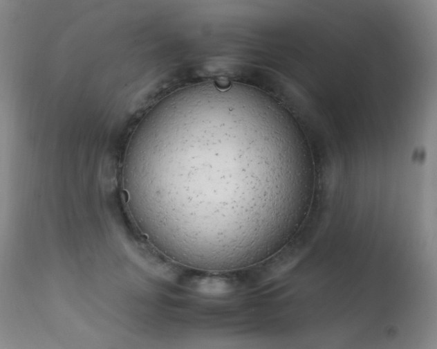 X0000111150751200906301337