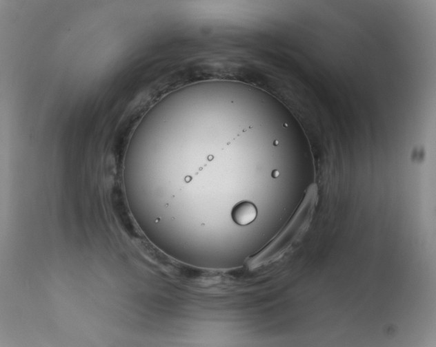 X0000111150752200906301337