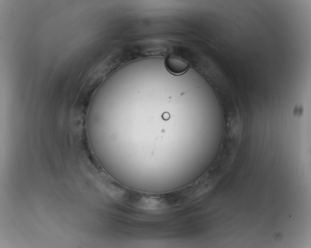X0000111150753200906301337