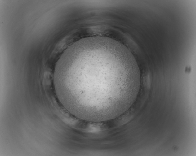 X0000111150757200906301337