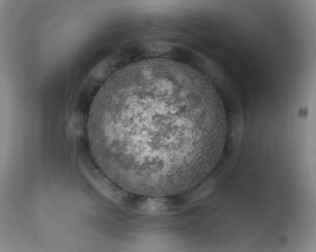 X0000111150758200906301337