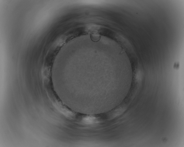 X0000111150759200906301337