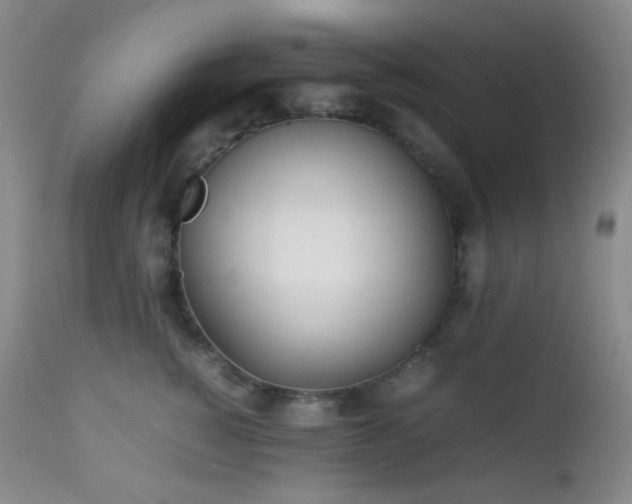 X0000111150760200906301337