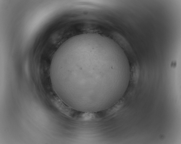 X0000111150762200906301337