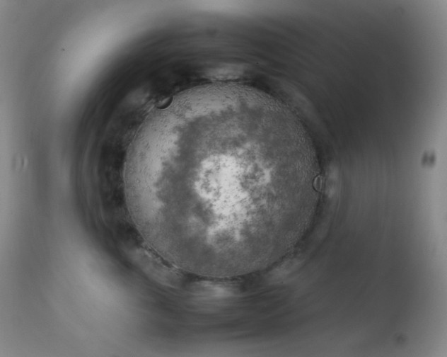 X0000111150763200906301337
