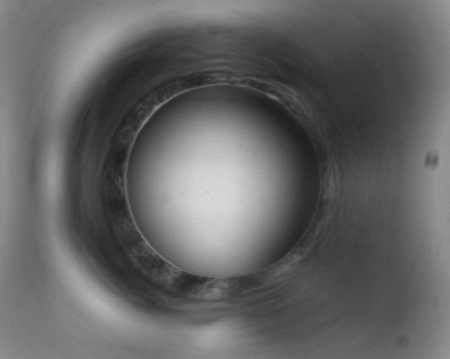 X0000111150764200906301337