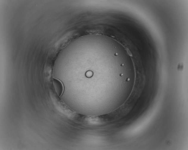 X0000111150767200906301337