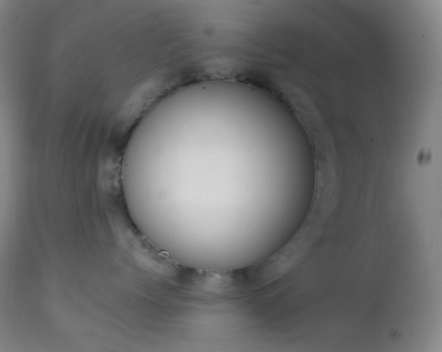 X0000111150768200906301337