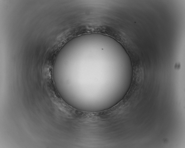 X0000111150770200906301336