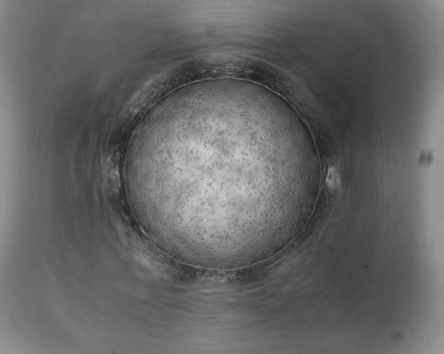 X0000111150771200906301336