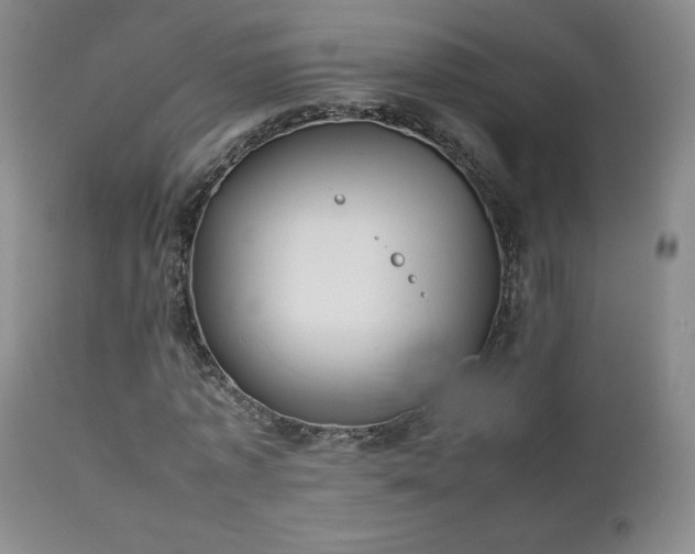 X0000111150773200906301336