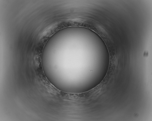 X0000111150774200906301336