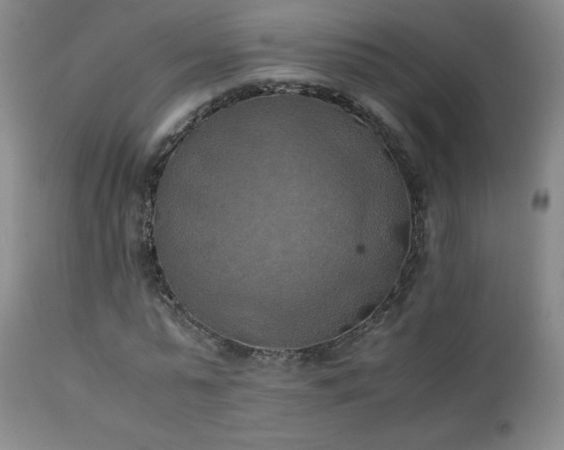 X0000111150775200906301336