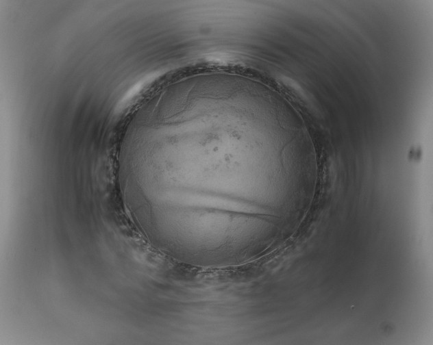 X0000111150776200906301336