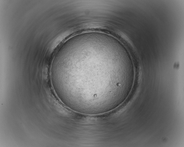 X0000111150777200906301336