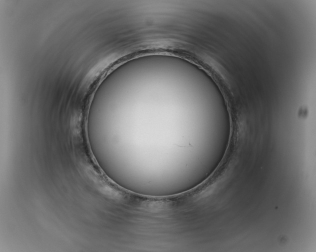 X0000111150778200906301336