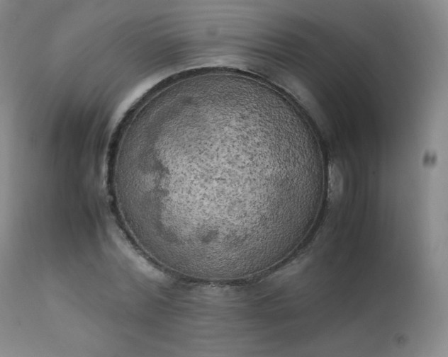 X0000111150780200906301336
