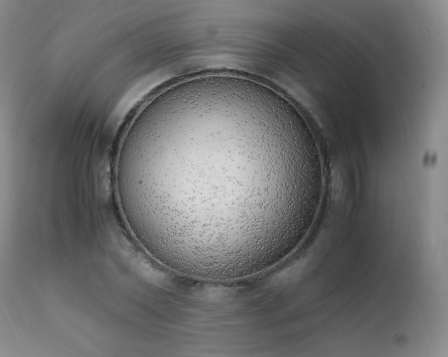 X0000111150782200906301336