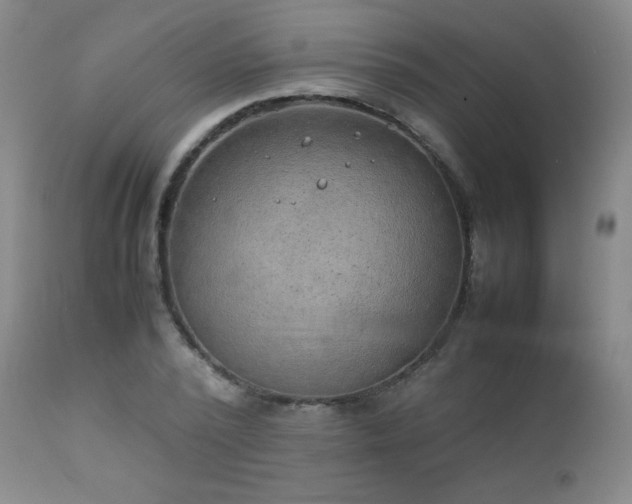 X0000111150784200906301336