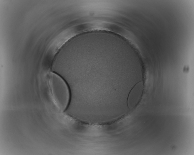 X0000111150785200906301336