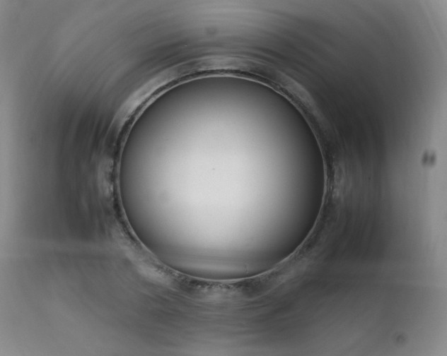 X0000111150786200906301336