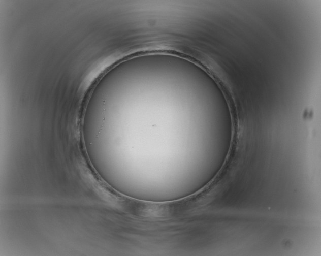 X0000111150789200906301336