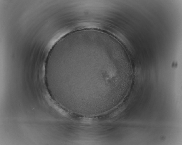 X0000111150790200906301336