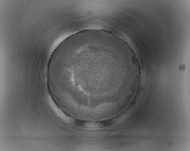 X0000111150795200906301336