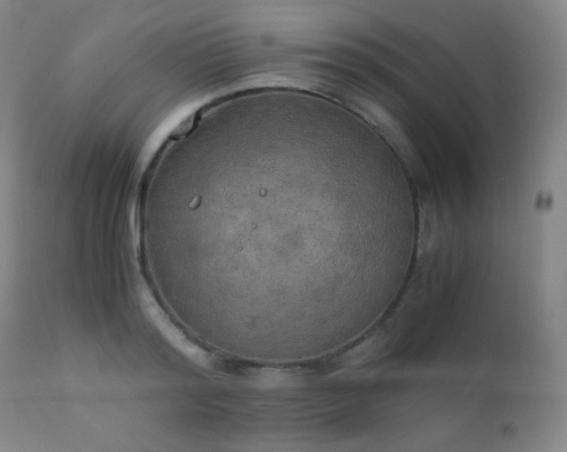 X0000111150796200906301336