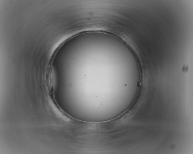 X0000111150797200906301336