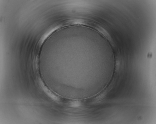 X0000111150798200906301336