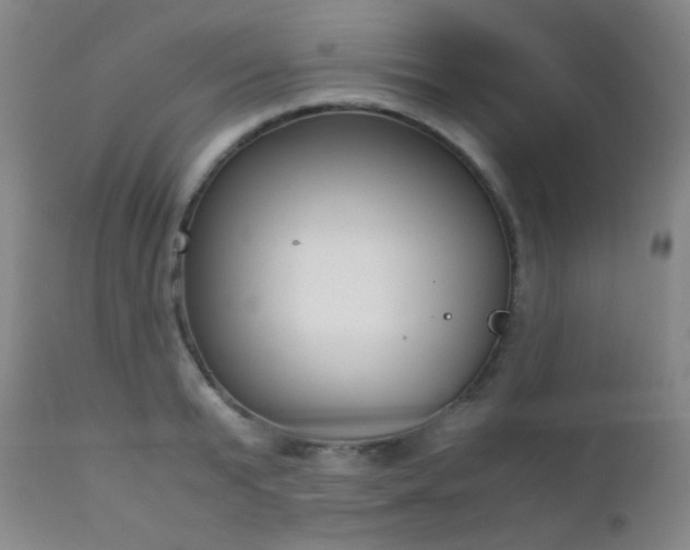 X0000111150799200906301336