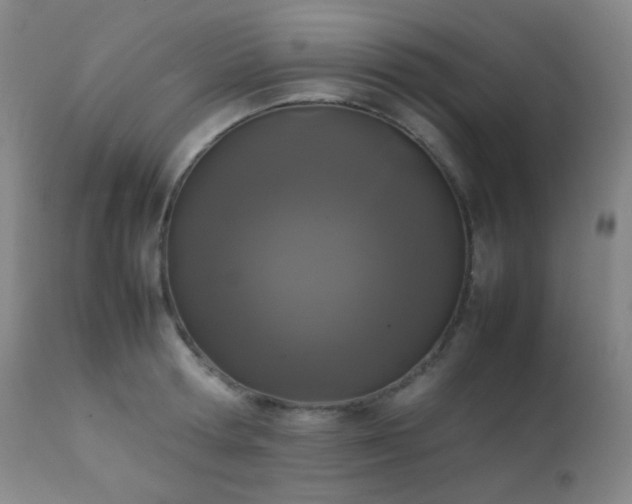 X0000111150802200906301336