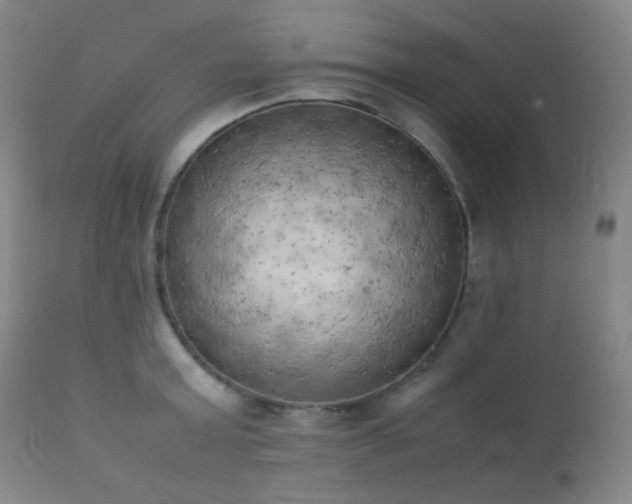 X0000111150803200906301336