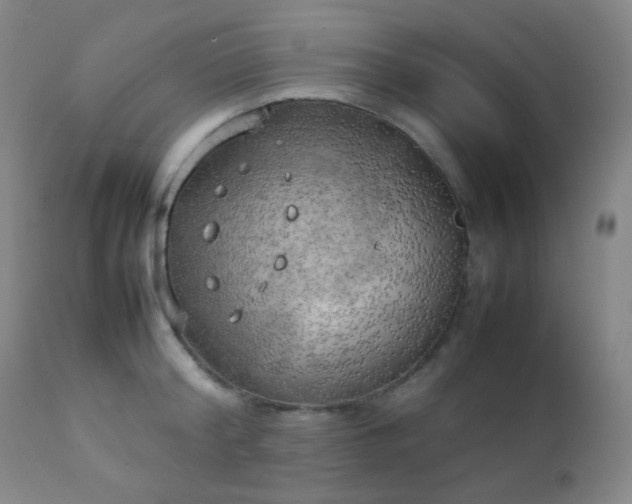 X0000111150804200906301336
