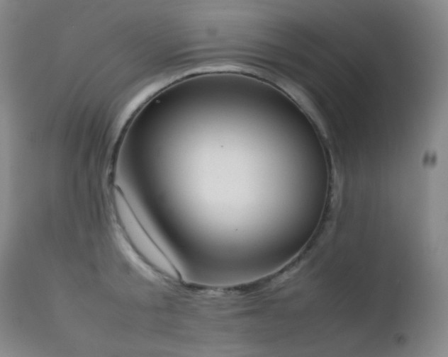 X0000111150805200906301336