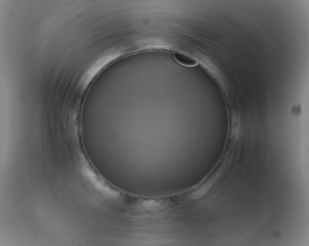 X0000111150806200906301336