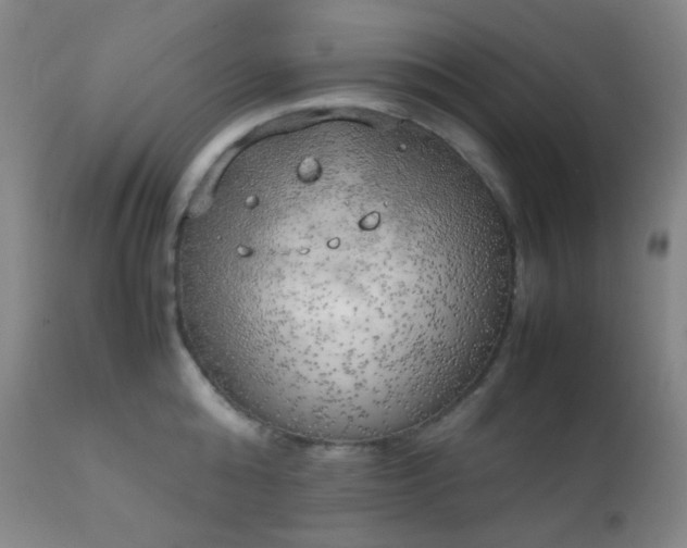 X0000111150808200906301336